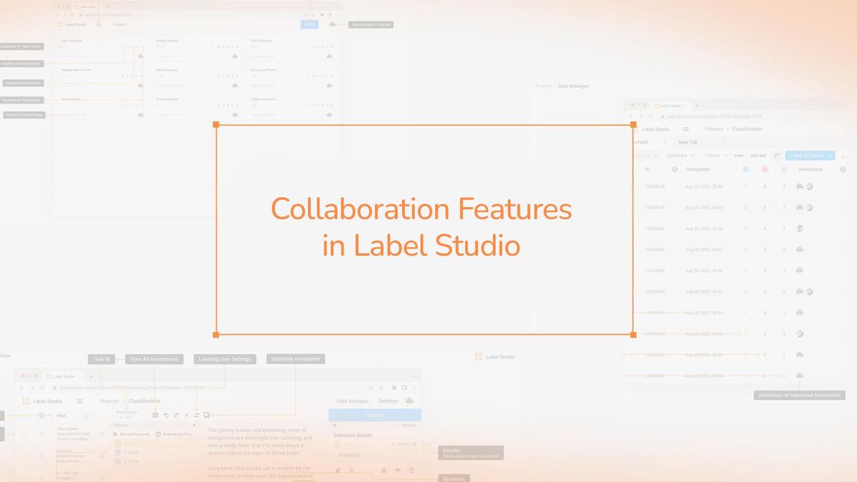 Collaboration Features in Label Studio