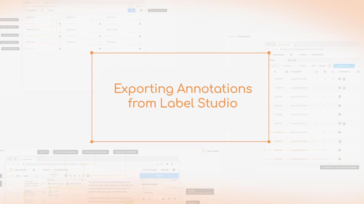 Exporting Annotations from Label Studio