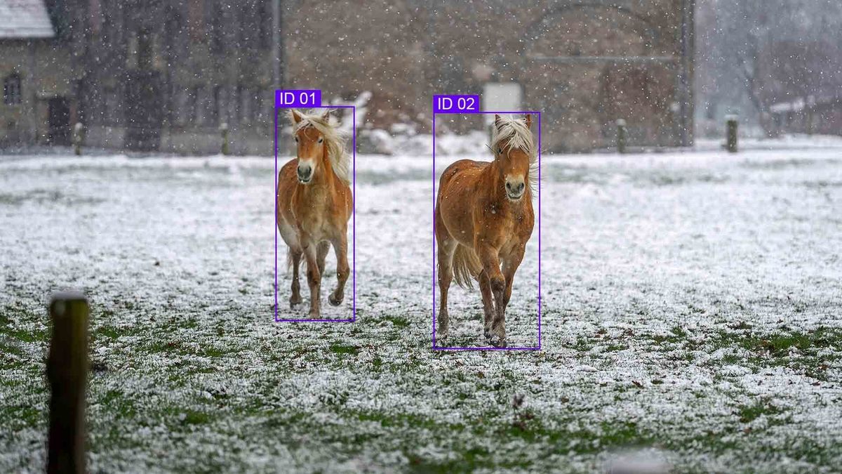 Selective Subset Labeling: Building Targeted Benchmarks Within Large Corpora