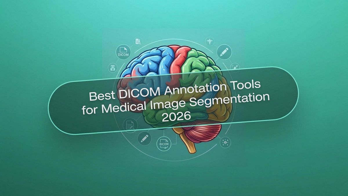 Best DICOM Tools for Medical Image Segmentation 2026