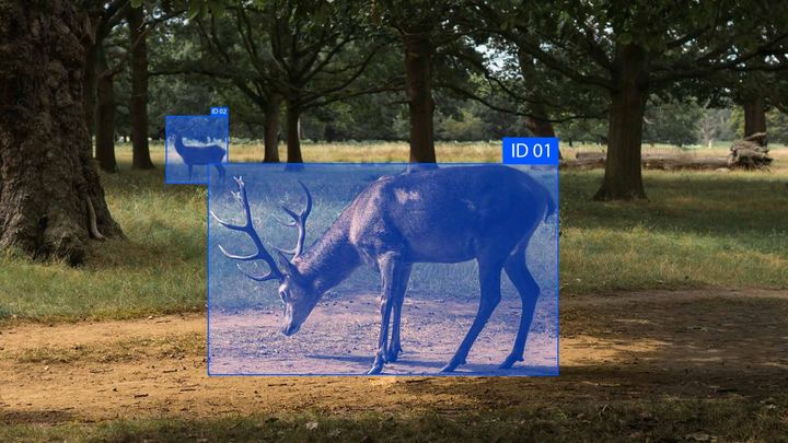 Federated Learning for Privacy-Preserving Data Annotation