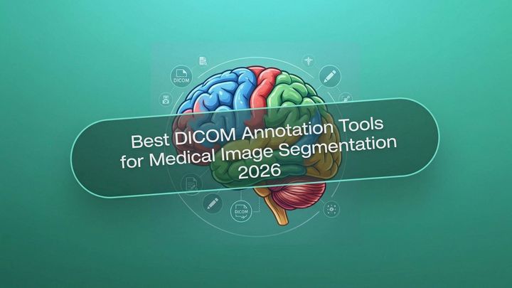 Best DICOM Tools for Medical Image Segmentation 2026