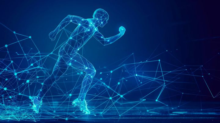 3D Radiology Systems in Sport