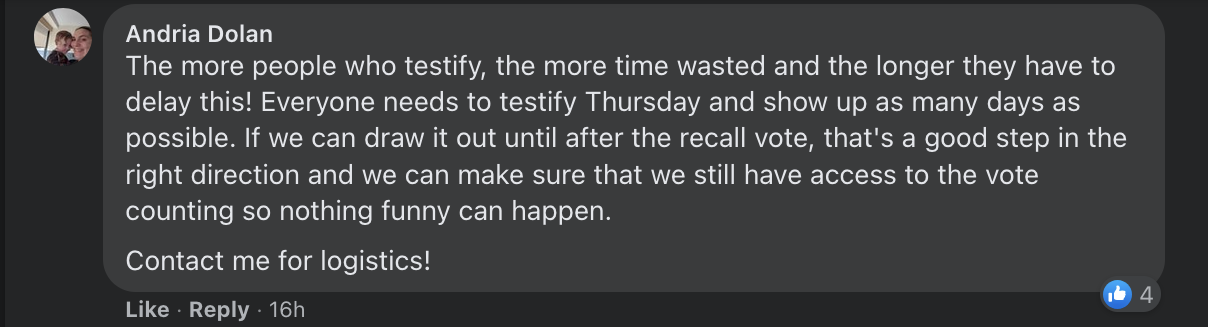 Andria Dolan, Save Anchorage