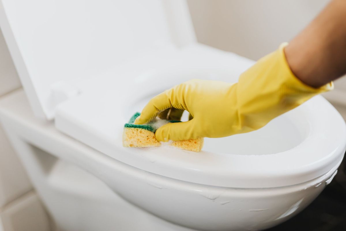 According to Latest Poll, Bronson’s Approval Rating Is in That Thing You Flush