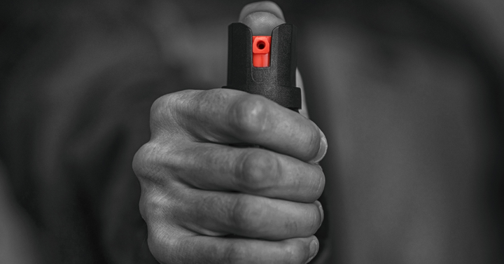 Pepper Spraying Neo-Nazi Sets Sights on Former School Board Candidate