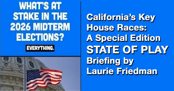 Laurie Friedman's Briefing Now Available on YouTube
