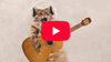 YouTube to let video creators swap out Content ID tracks for royalty-free AI substitutes