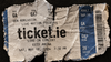 Bad forecasting and the loss of two clients contributed to tickets.ie collapse, says director report