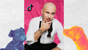 Pitbull denies that he has 21 children