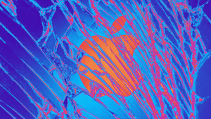 Upsetting the Apple cart: app developers including Spotify, Deezer, Qobuz welcome US Justice Department lawsuit