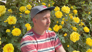 🎧 Approved: Humdrum