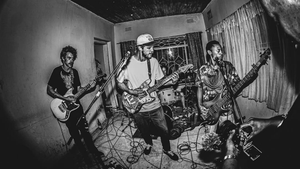 🎧 Approved: Drumfish