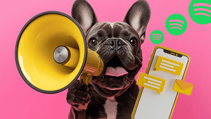 Brace yourself: Spotify is convinced people want it to be a messaging app