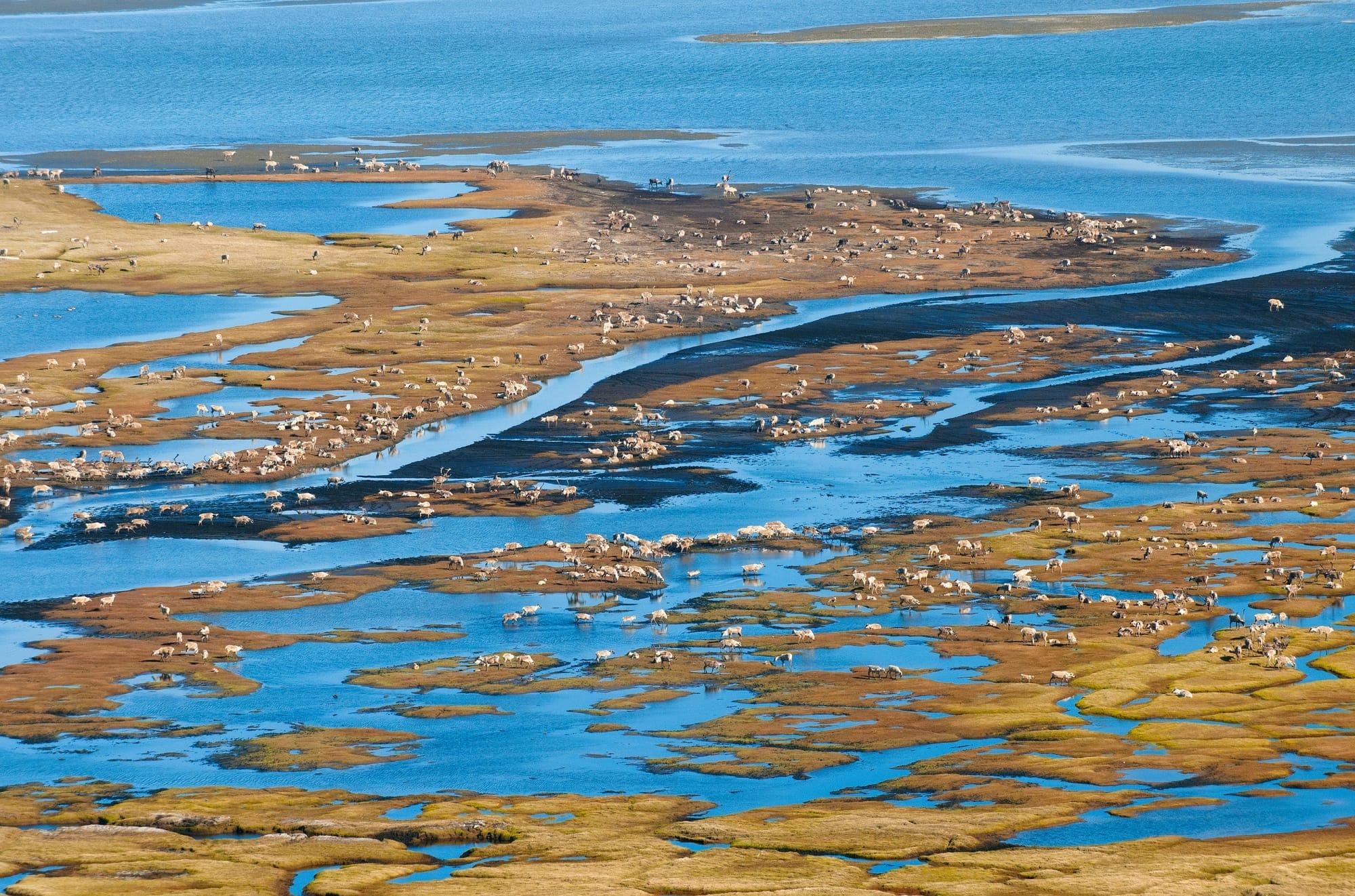 The Arctic Is Open for Business