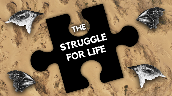 The Forgotten Piece of Evolutionary Theory