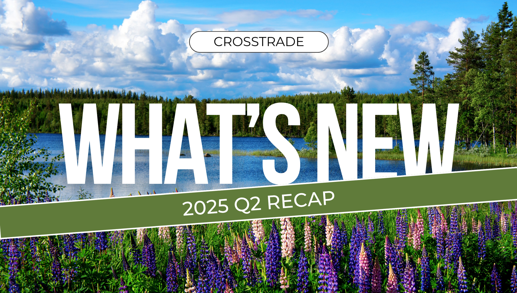 summer landscape with text 'whats new' and '2025 Q2 Recap'