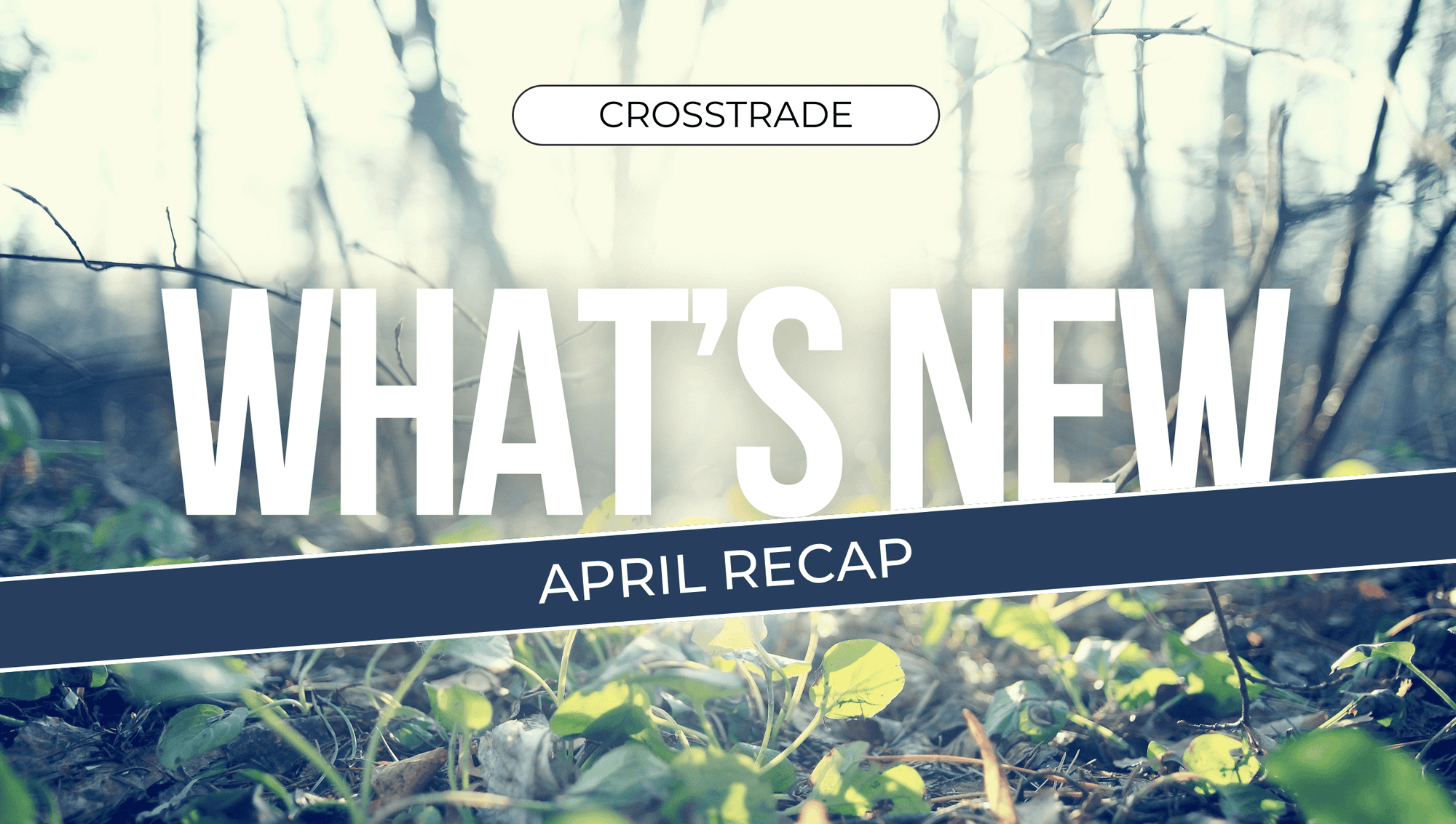 crosstrade-april-2025-recap-spring-image