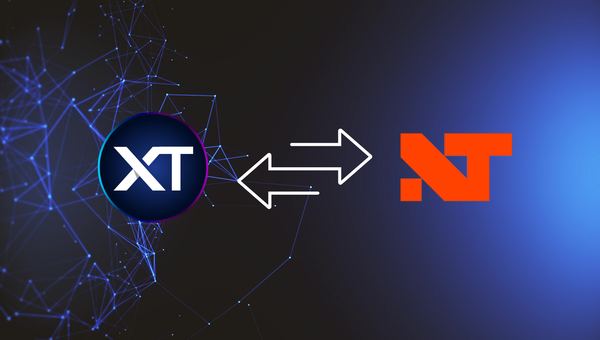 Depiction of the CrossTrade to NT8 API connection path
