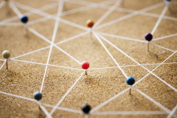 Building Entrepreneurial Leadership Through Evolution