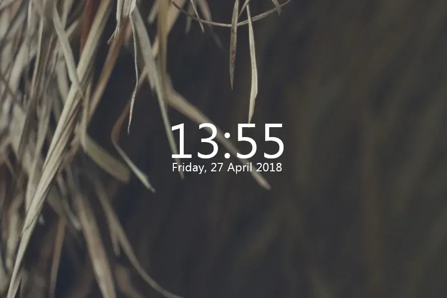 Elegant Clock showing 13:55 and a weekday and date in white over a dark leaf wallpaper.