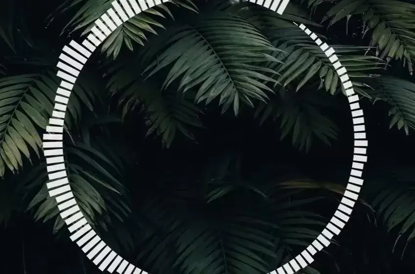 Source preview of Circular Spectrum: Circular Spectrum arranges moving audio waves around a rotating circular pattern