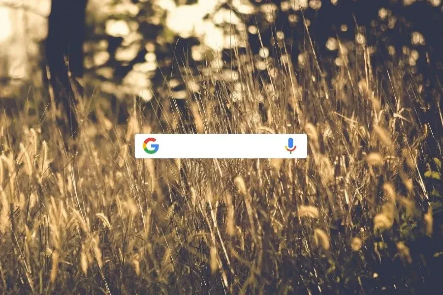 Source preview of Custom Search Bar Rainmeter Skin credited to n00byS