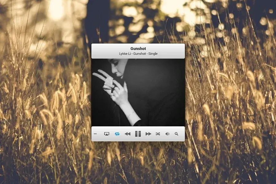 Source preview of iTunes MiniPlayer Rainmeter Skin credited to rabra