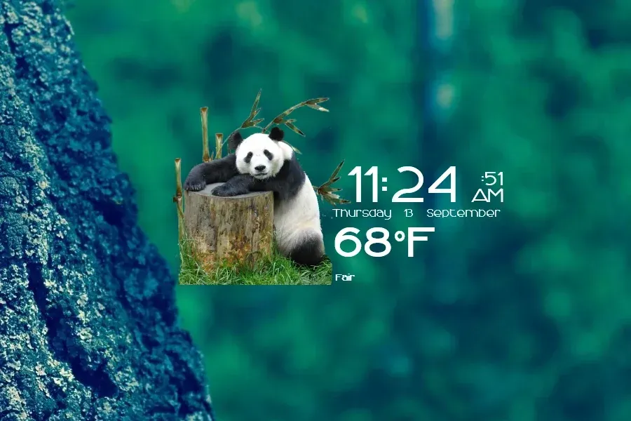 Source preview of Pandas Time Date and Weather Rainmeter Skin credited to ionstorm01