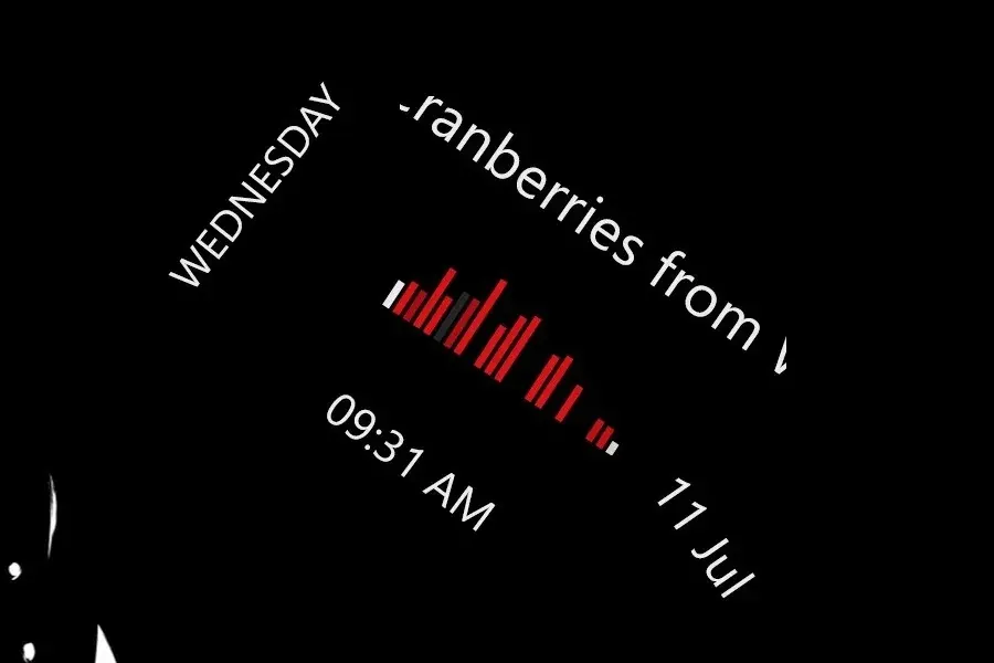Source preview of Persona5 Rainmeter Skin credited to Iroaseta