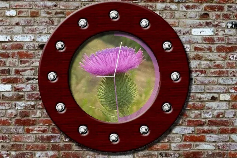 Source preview of Thistle Clock: A resizable analog clock with a light-purple thistle flower at its center