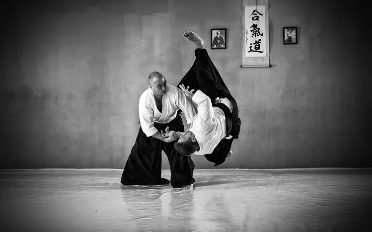 Aikido photographs depicting martial-art techniques in steps.
