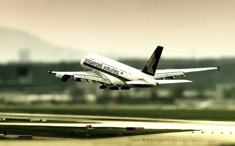 Airplane exteriors with distinctive colors and tail patterns against skies.