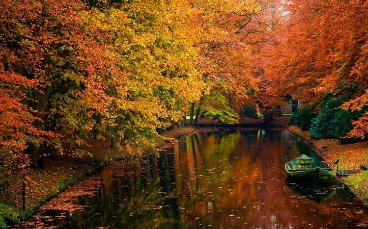 Autumn Windows wallpaper theme — source gallery preview