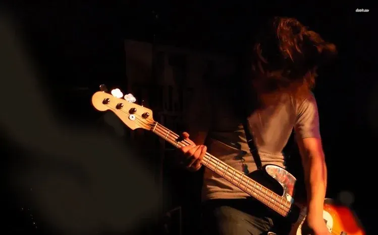 Dramatic views of bass guitars.