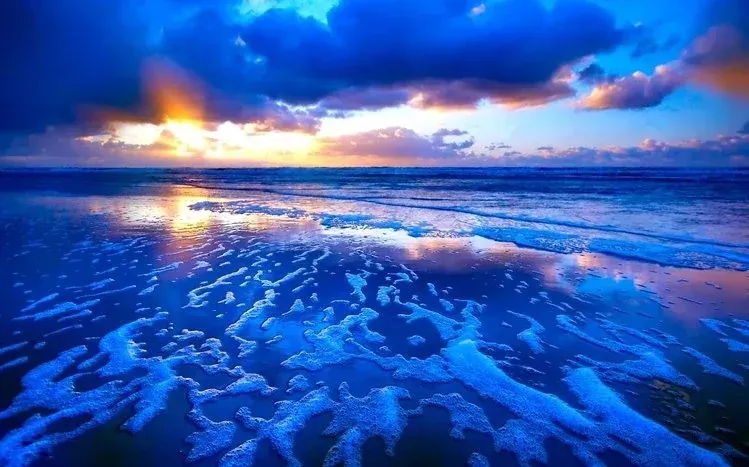 A collection of sunset scenes at beaches.