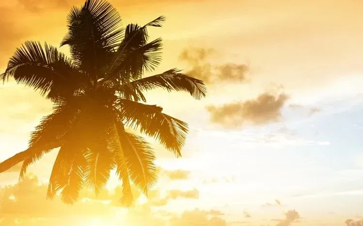 Dual-monitor beach wallpapers featuring sandy shores, turquoise water, and natural coastal scenery.