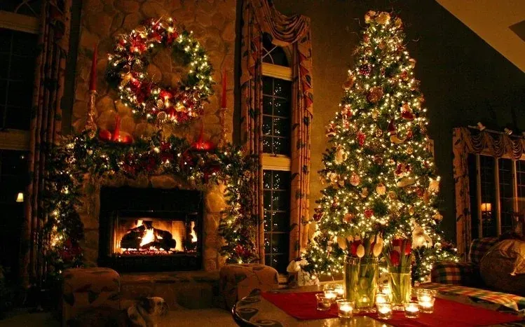 Christmas tree in a natural setting with snow and lights.