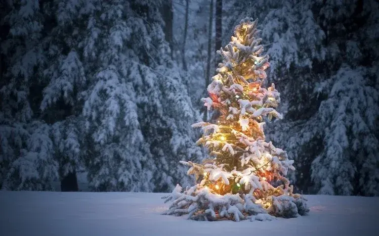 Christmas wallpaper preview with a tree at the side against a blue background.
