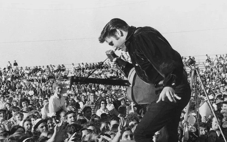 Elvis Presley images in a music tribute wallpaper collection.