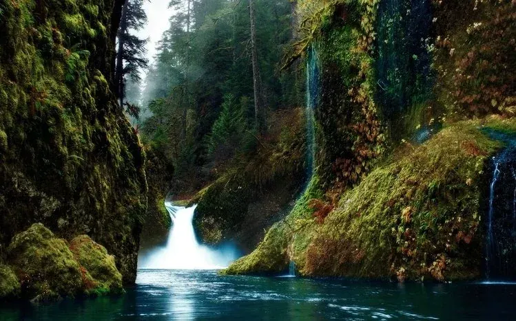 Waterfalls descending from rocks in forest settings.