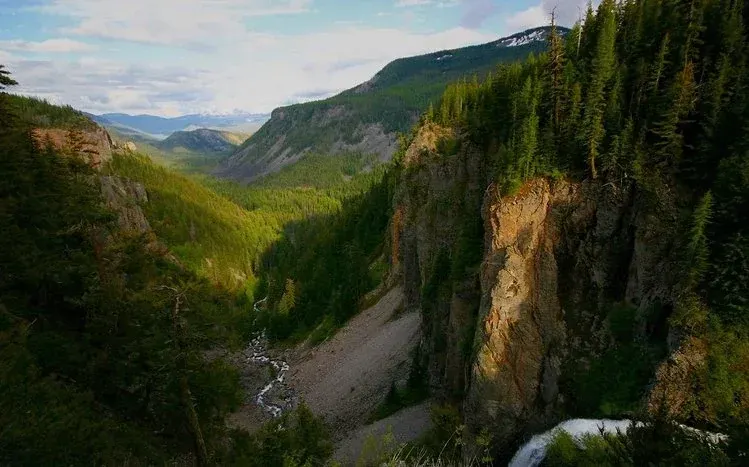 Mountain landscapes distinguished by their green covering.