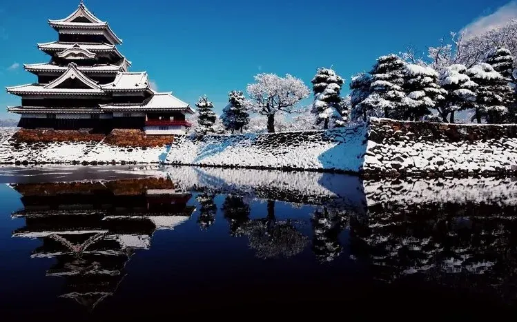 Historic Japanese castles associated with rock and wood construction.