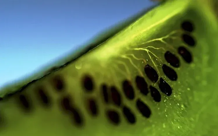 Kiwifruit wallpapers highlighting brown textured skin, light green flesh, and seed patterns.