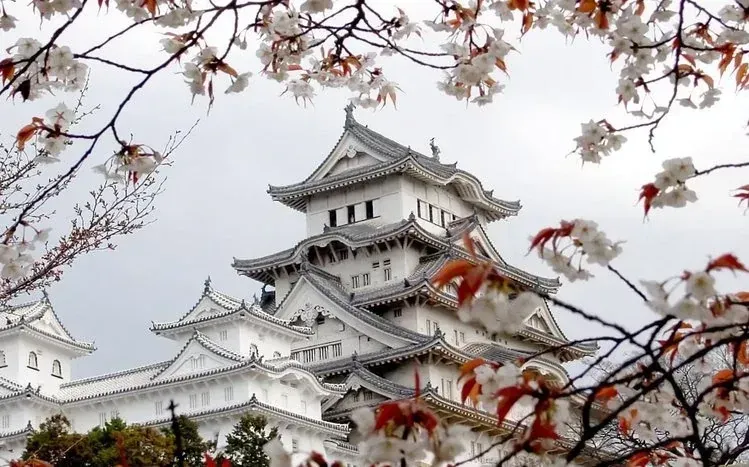 Japanese scenery featuring buildings, snowfall, and colorful flowers.