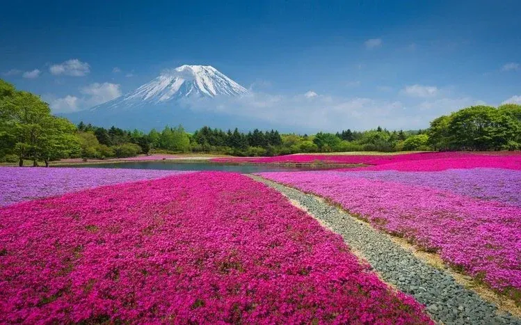 Mount Fuji landscape wallpapers showing the Japanese mountain from different angles.