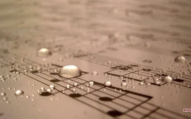 Music-themed wallpapers featuring notes and clefs.