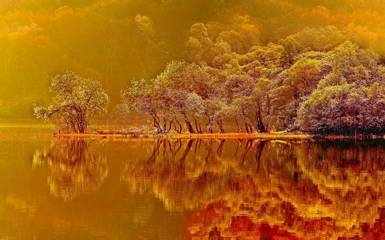 November-themed nature wallpaper collection preview.