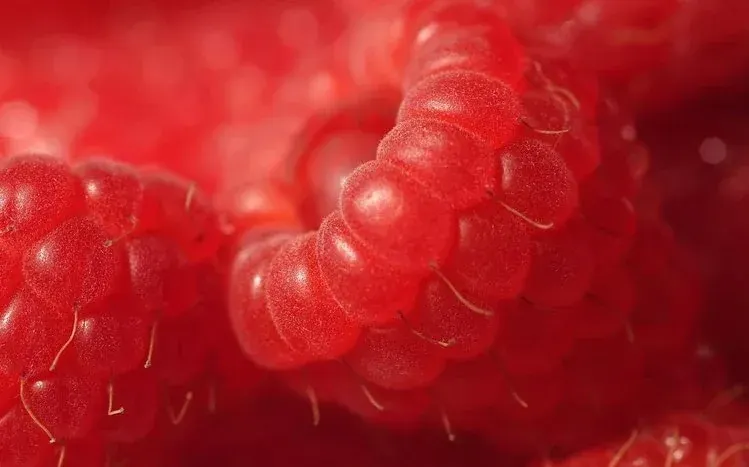 Raspberry-themed wallpapers focused on the rose-colored fruit.
