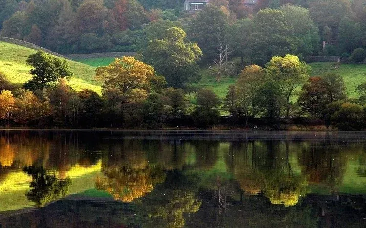 Nature reflections featuring mountains, lake houses, trees and greenery, with beach-chair imagery also included.